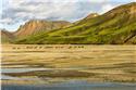 iceland_00537