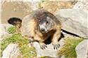 moutains_0055