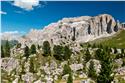 moutains_0971