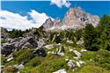 moutains_2487