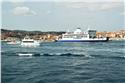 corsica_4721
