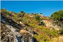 corsica_4981