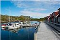 norway-lofoten-3244
