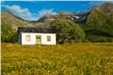 norway-lofoten-3289