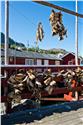 norway-lofoten-3460