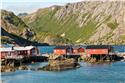 norway-lofoten-3496
