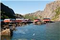 norway-lofoten-3549