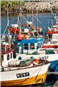 norway-lofoten-3573