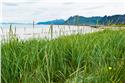 norway-lofoten-3795
