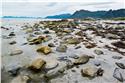 norway-lofoten-3823
