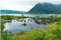 norway-lofoten-3960