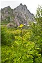 norway-lofoten-4325