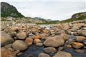 norway-lofoten-4384