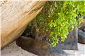 seychelles_0656