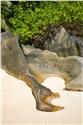 seychelles_5196