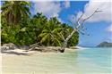 seychelles_5313