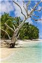 seychelles_5315