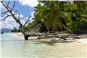 seychelles_5325