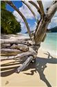 seychelles_5359