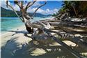seychelles_5369