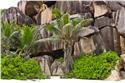 seychelles_5686